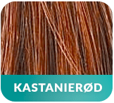 Hairboost - kastanieroed